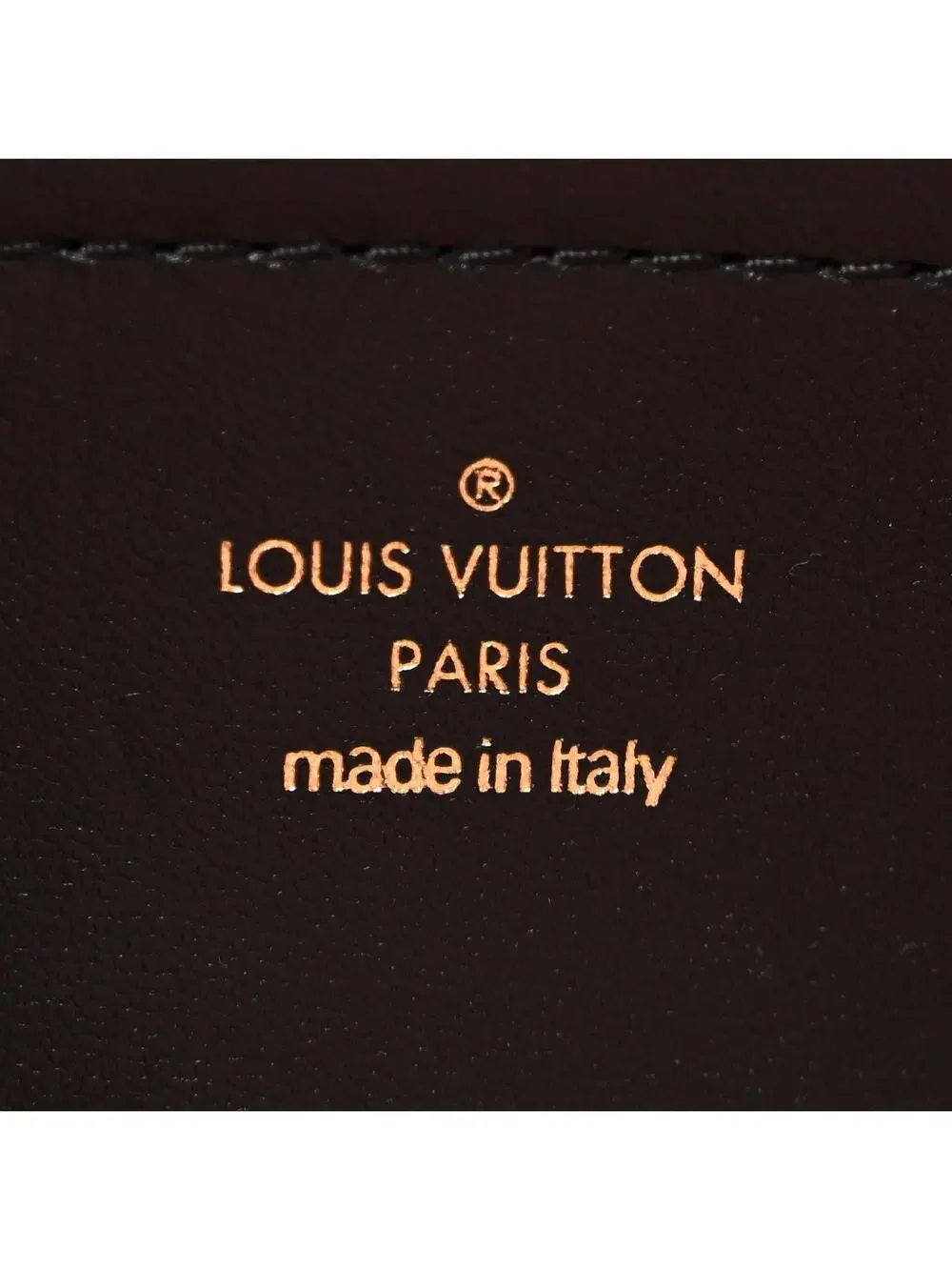 Louis Vuitton Lambskin Embossed #344795L18B